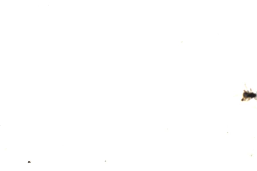 Image 60